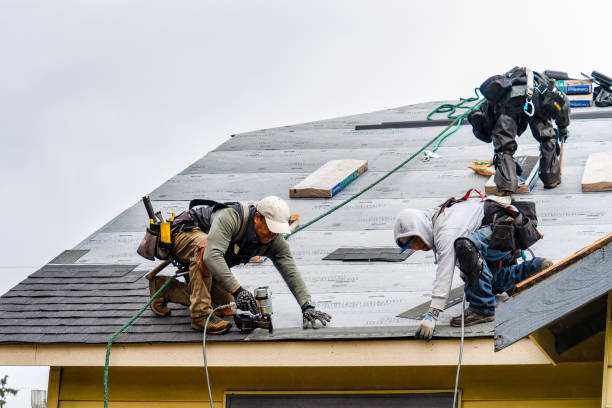 Professional Flat Roof Repair technician working in Cameron, WI